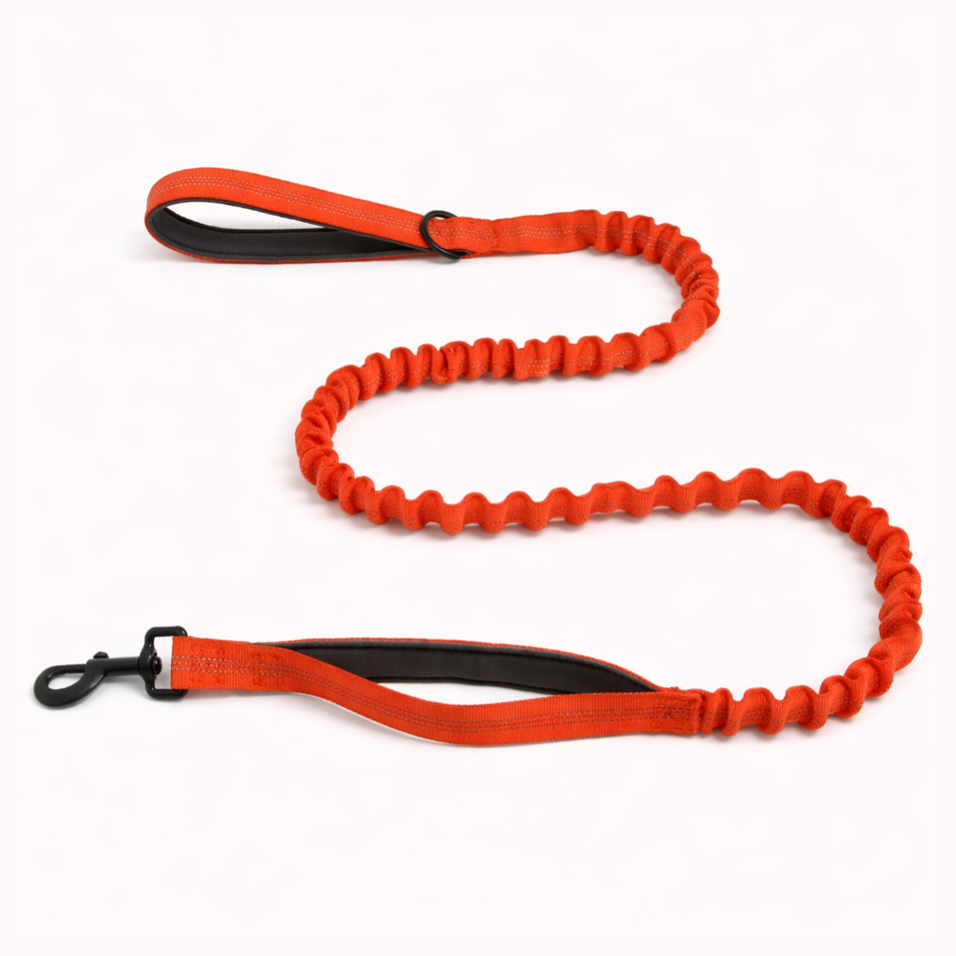 Orange Bungee Lead