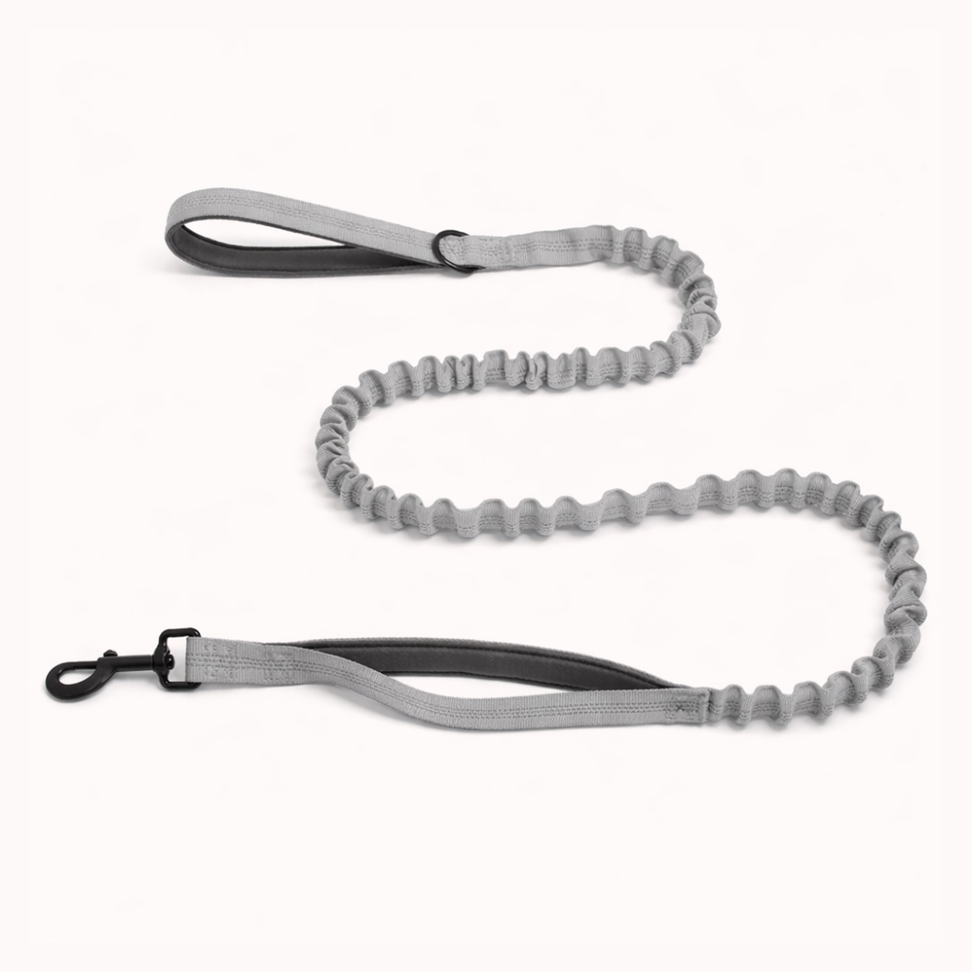Grey Bungee Lead