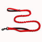 Red Bungee Lead