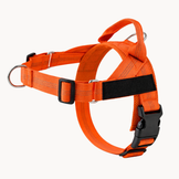 Orange Harness