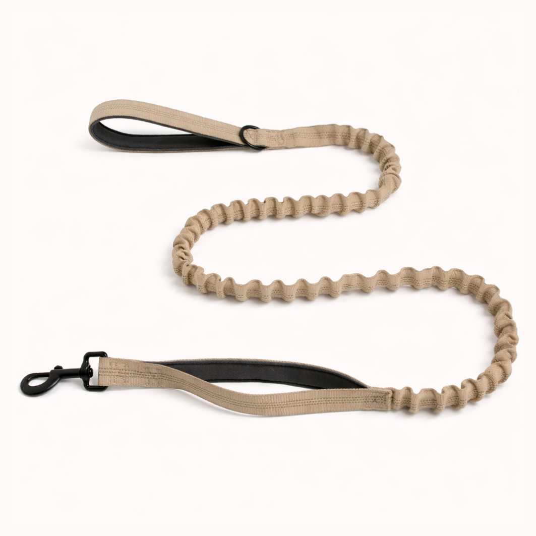 Beige Bungee Lead