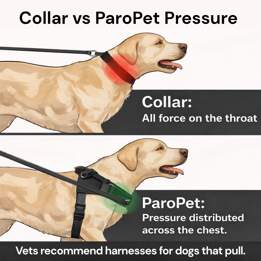 ParoPet No-Pull Dog Harness