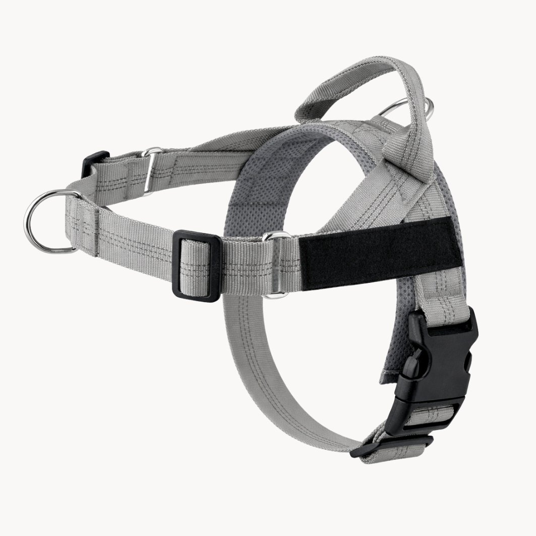 Grey Harness