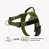 Extra No-Pull Harness & Free Bungee Lead