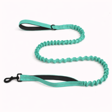 Turquoise Green Bungee Lead