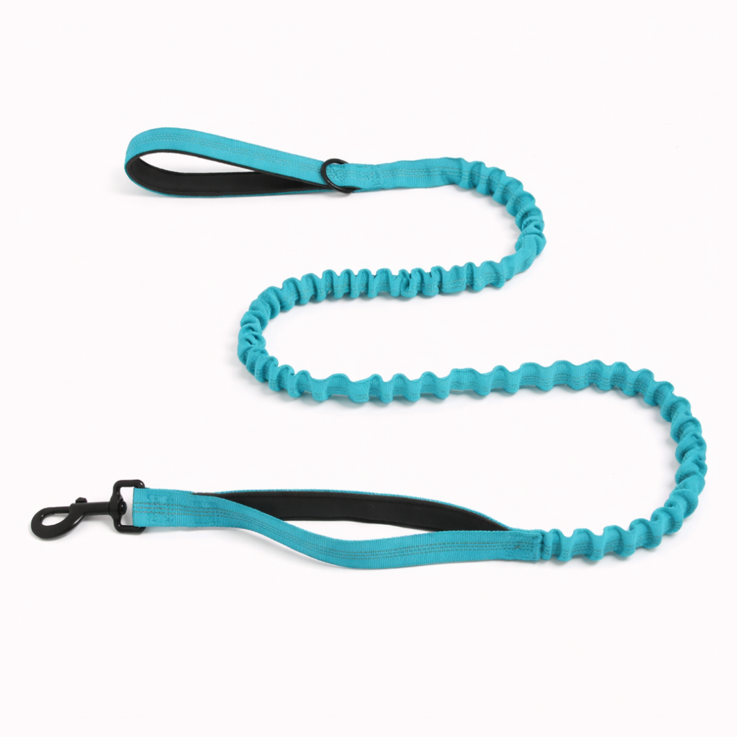 Sky Blue Bungee Lead