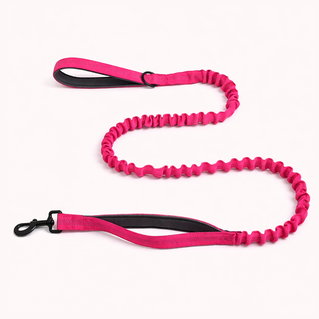 Pink Bungee Lead