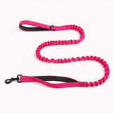 Pink Bungee Lead