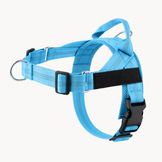 Sky Blue Harness