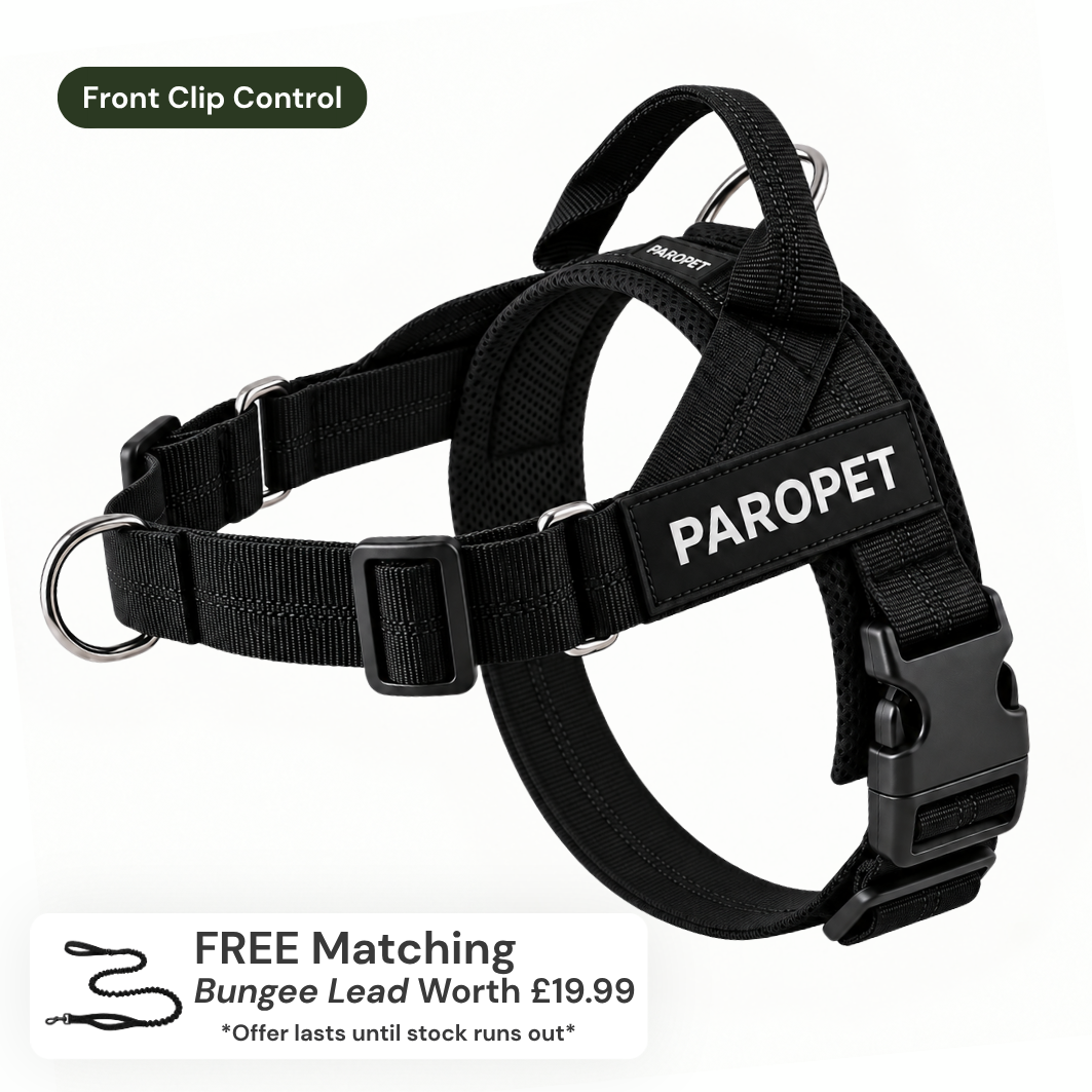 ParoPet No-Pull Dog Harness