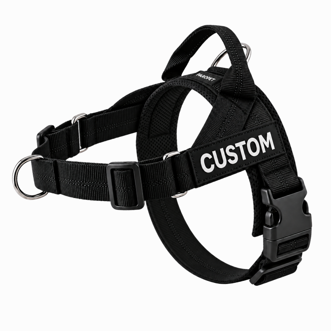 blackharness