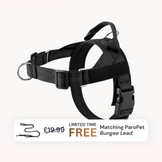 Extra No-Pull Harness & Free Bungee Lead