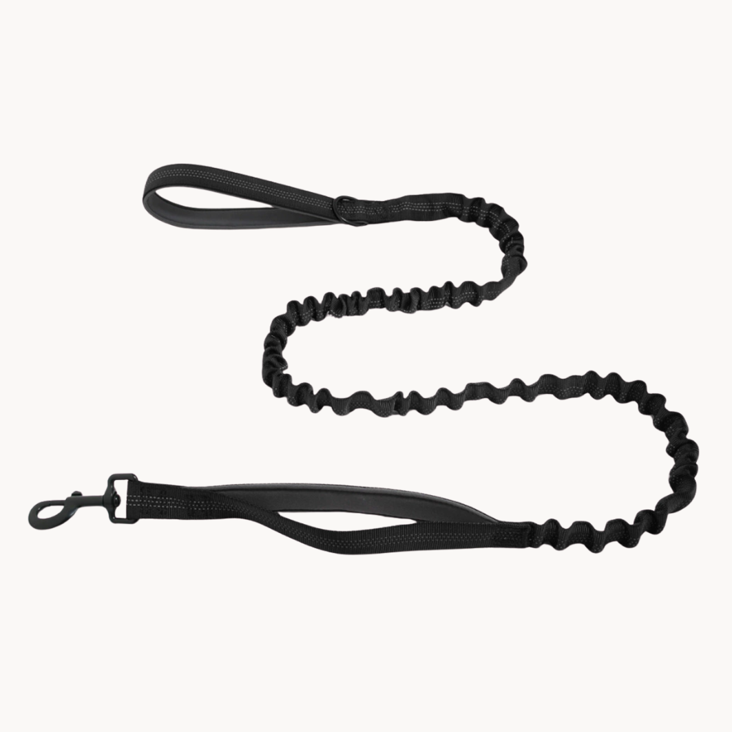 ParoPet Shock-Absorbing Bungee Lead