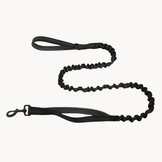 ParoPet Shock-Absorbing Bungee Lead