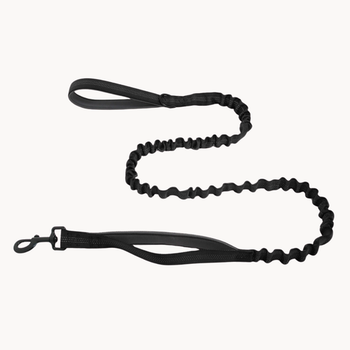 ParoPet Shock-Absorbing Bungee Lead