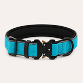 Sky Blue Heavy-Duty Collar