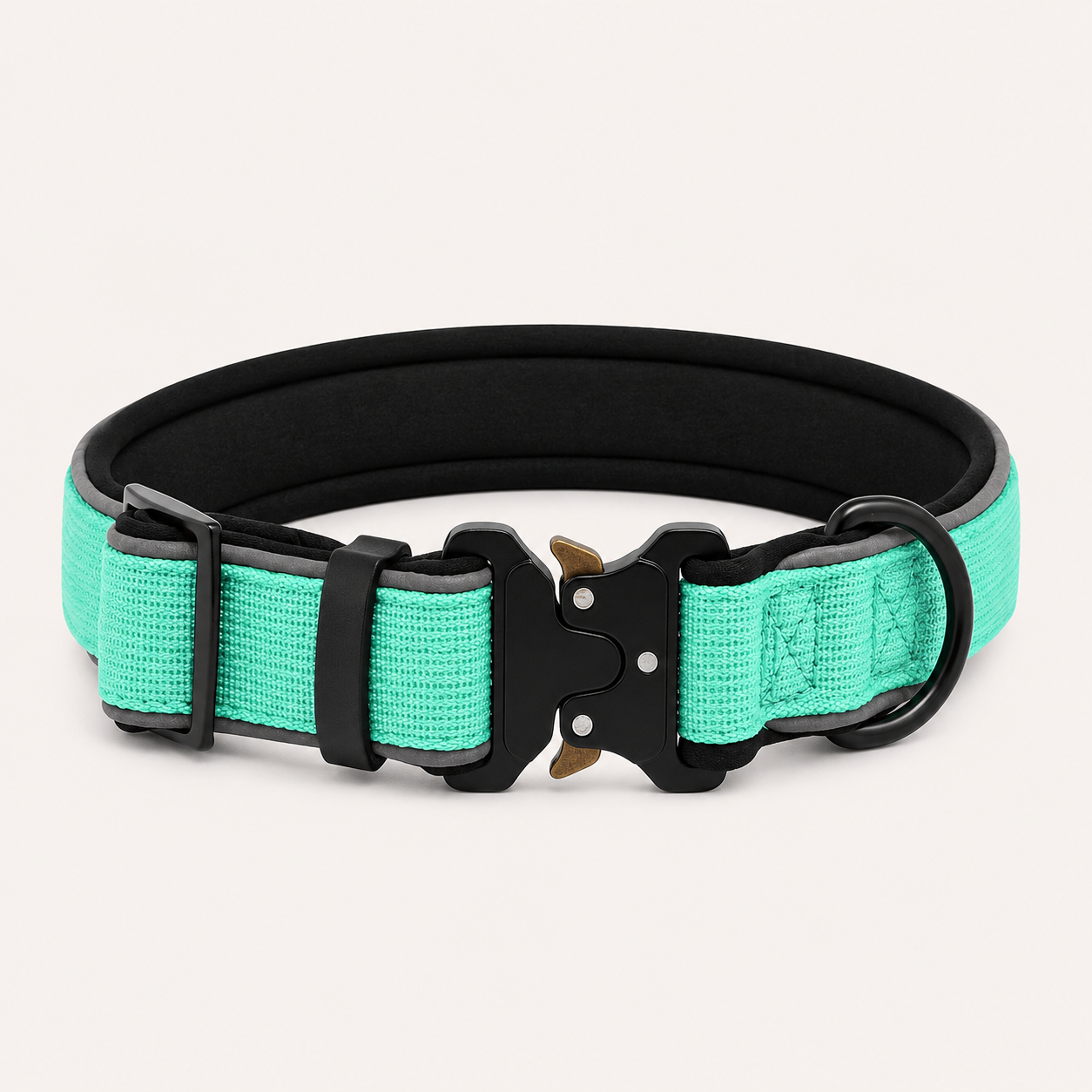 Turquoise Heavy-Duty Collar