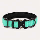 Turquoise Heavy-Duty Collar