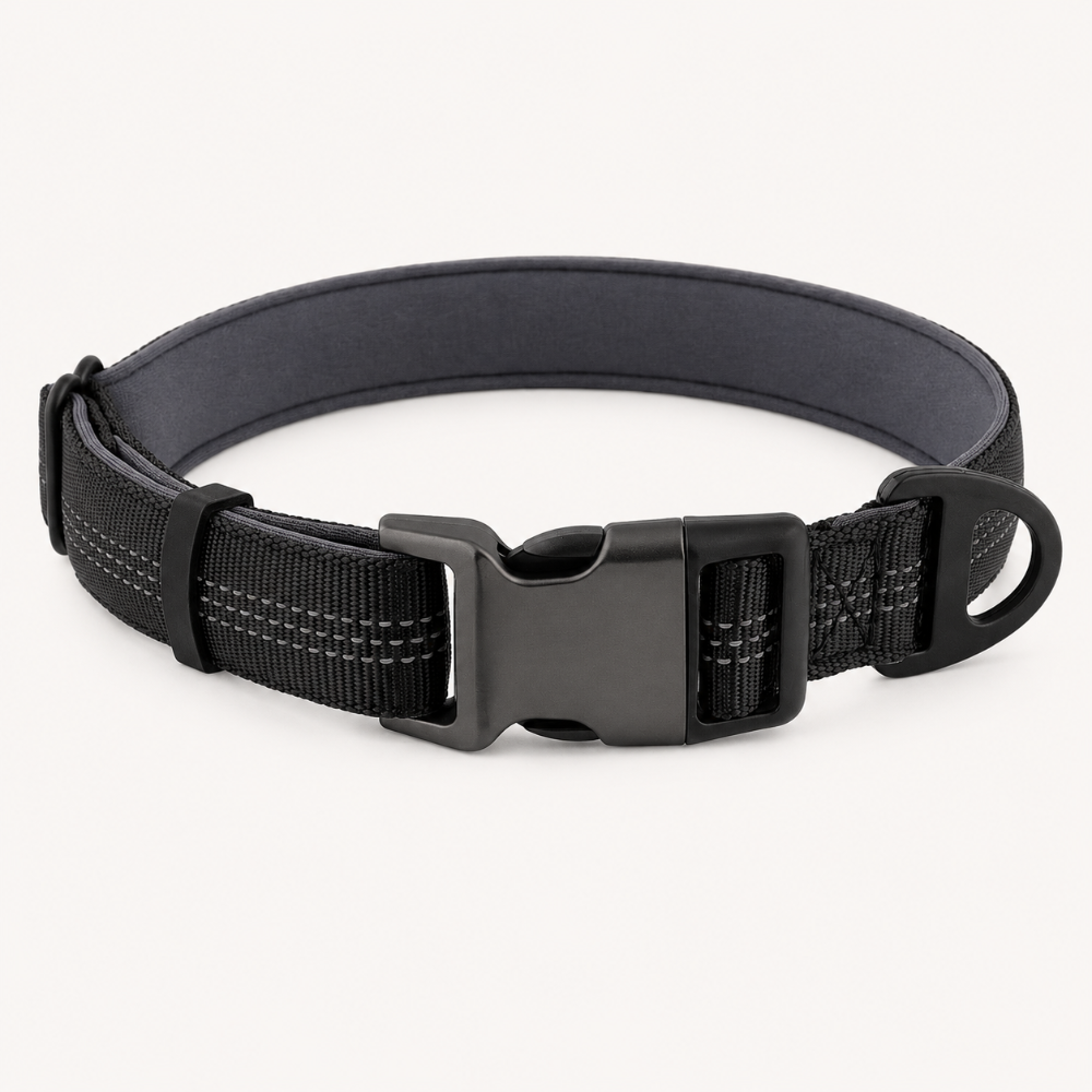 Black Essentials Collar