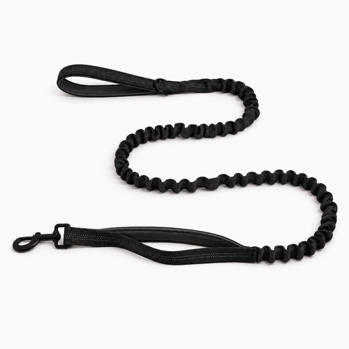 Black Bungee Lead 