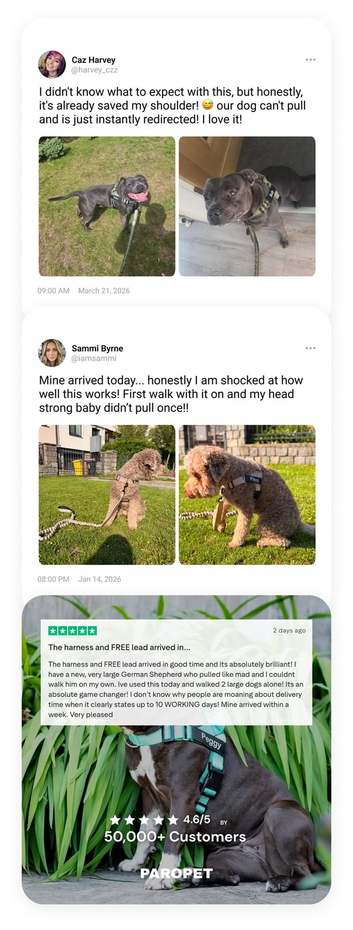 Customer posts and reviews about ParoPet