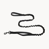 Black Bungee Lead