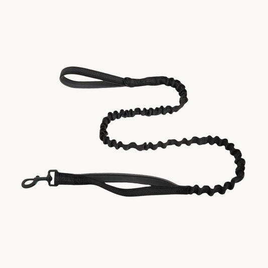 Black Bungee Lead