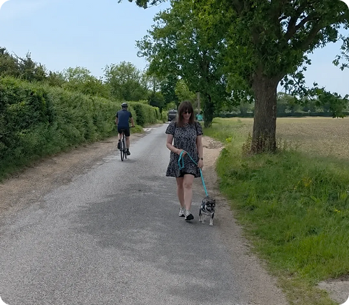 A bicycle passing