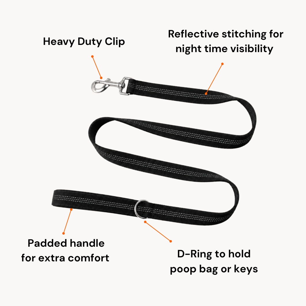 🎁 FREE ParoPet Classic Dog Lead