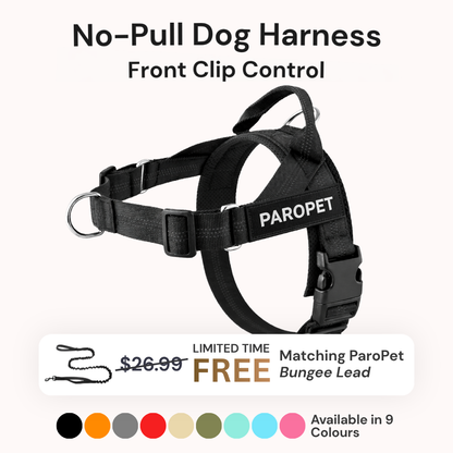 ParoPet No-Pull Dog Harness